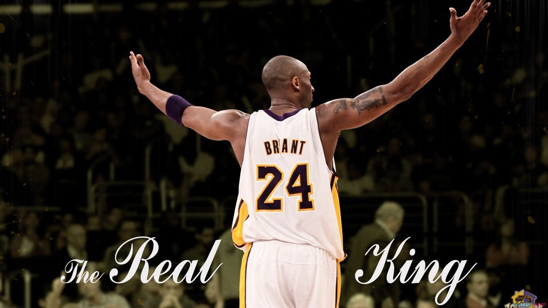 凯恩新星赛况扑朔迷离表现惊艳，IG未来可期！